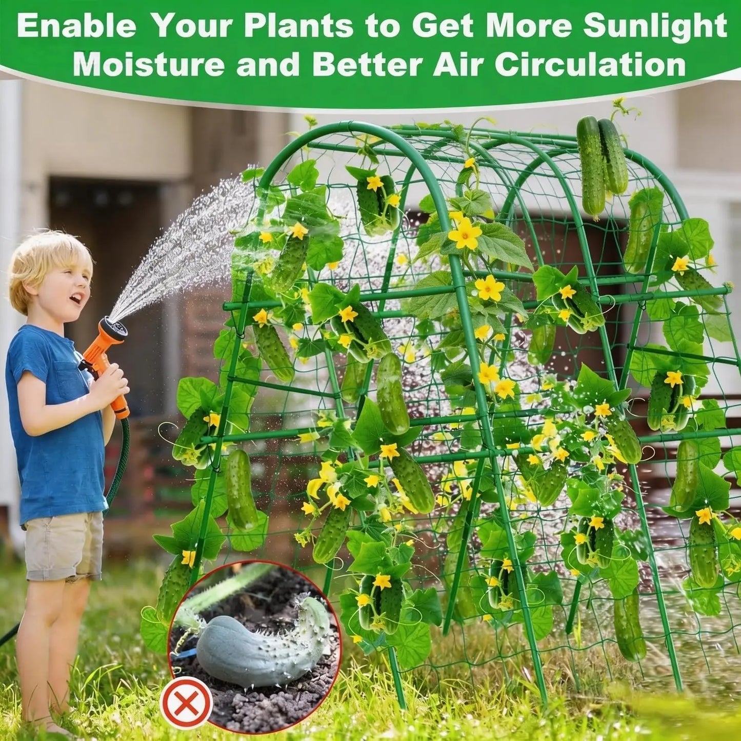 HiMISS Garden Arch Trellis for Raised Beds and Climbing Plants
