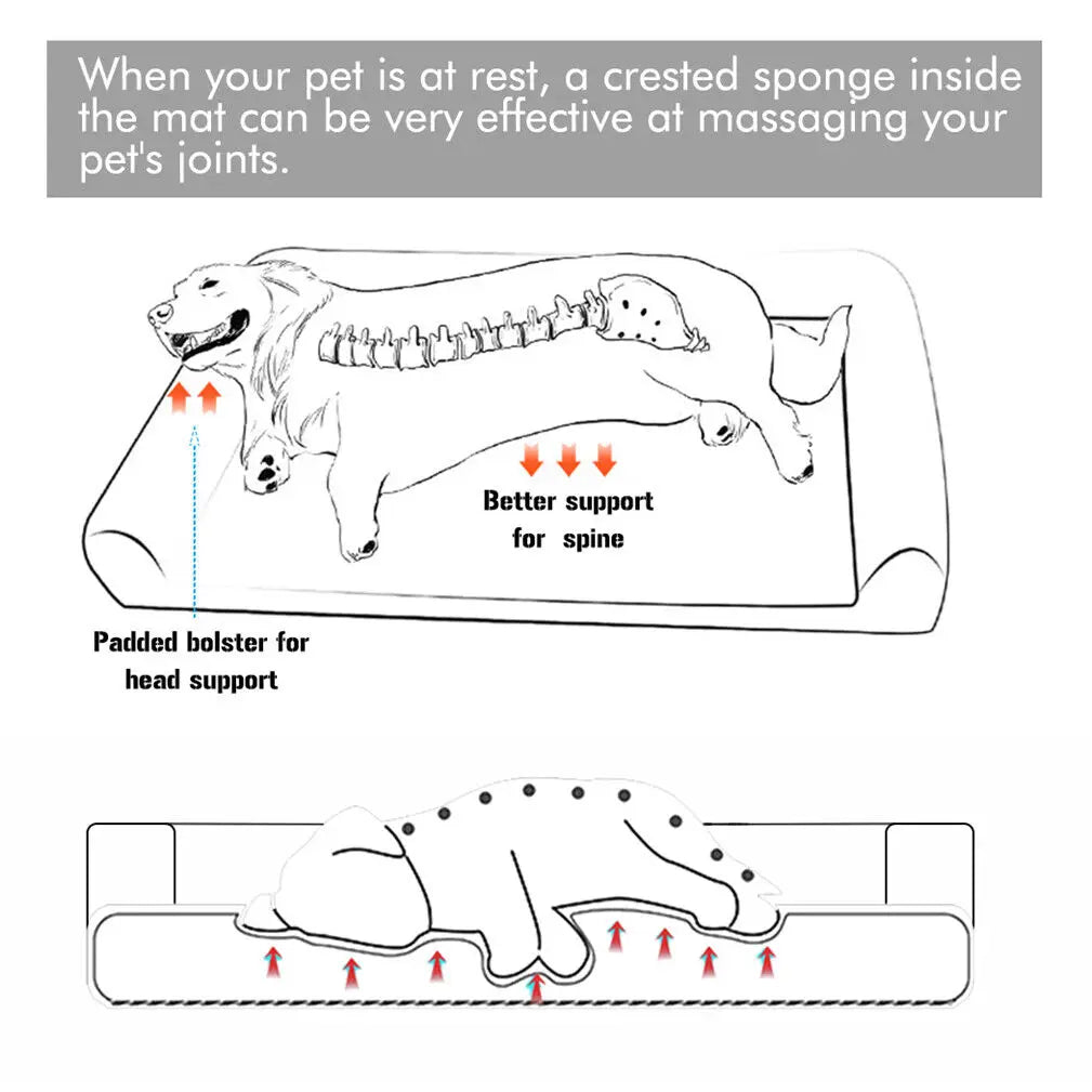 BINGOPAW Orthopedic Dog Bed With Removable Washable Foam Cushion