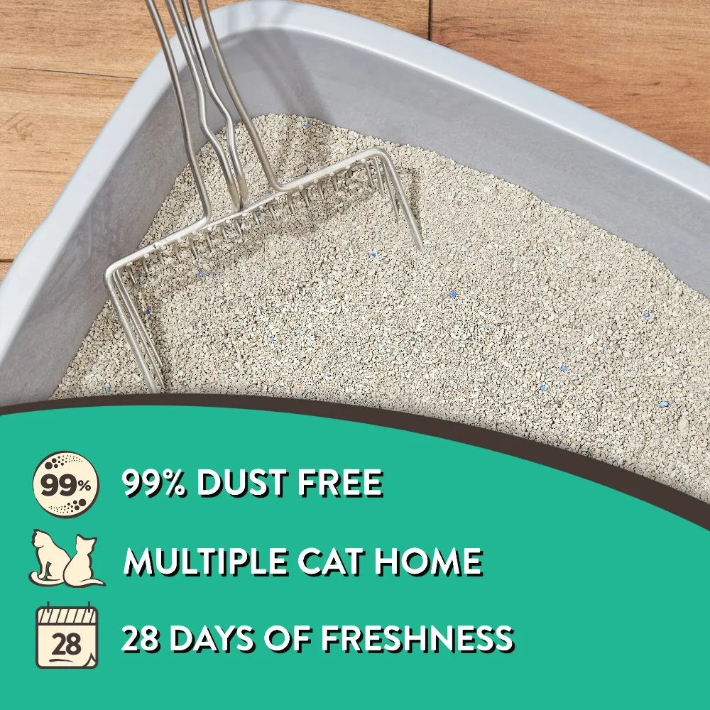 4 Pack Clumping Cat Litter Fresh Scent Odor Control 20lb Jug