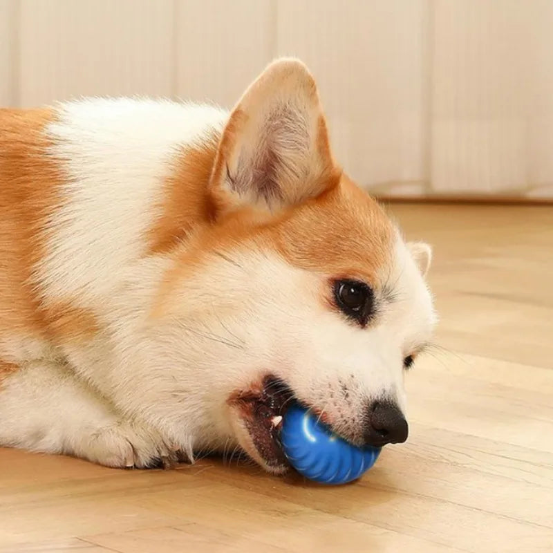 Automatic Moving Dog Ball Toy USB Rechargeable Interactive Ball