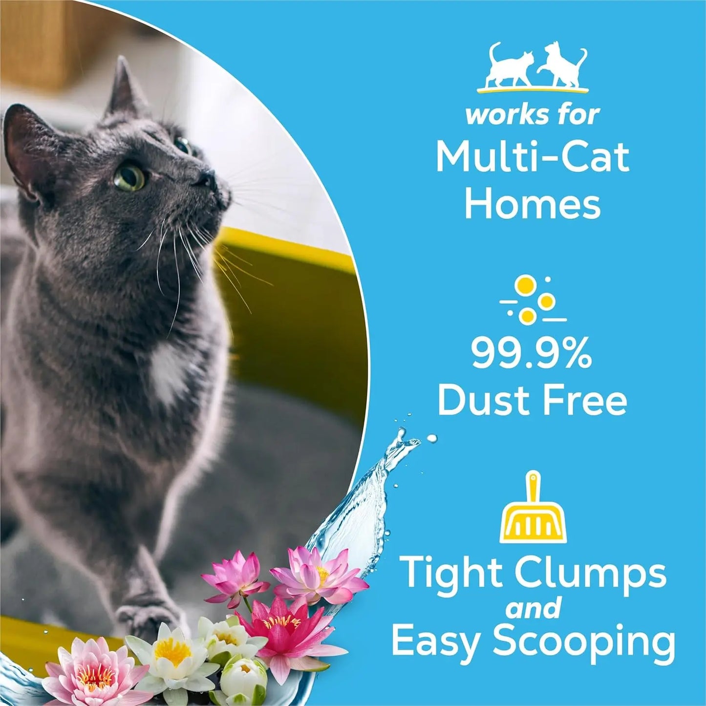 Clumping Cat Litter For Multiple Cats With Clear Springs Scent