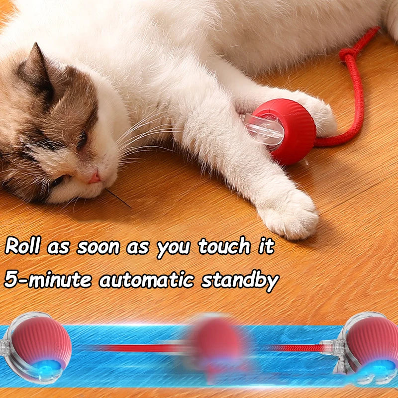Cat Interactive Automatic Rolling Ball Toy With Rechargeable Battery