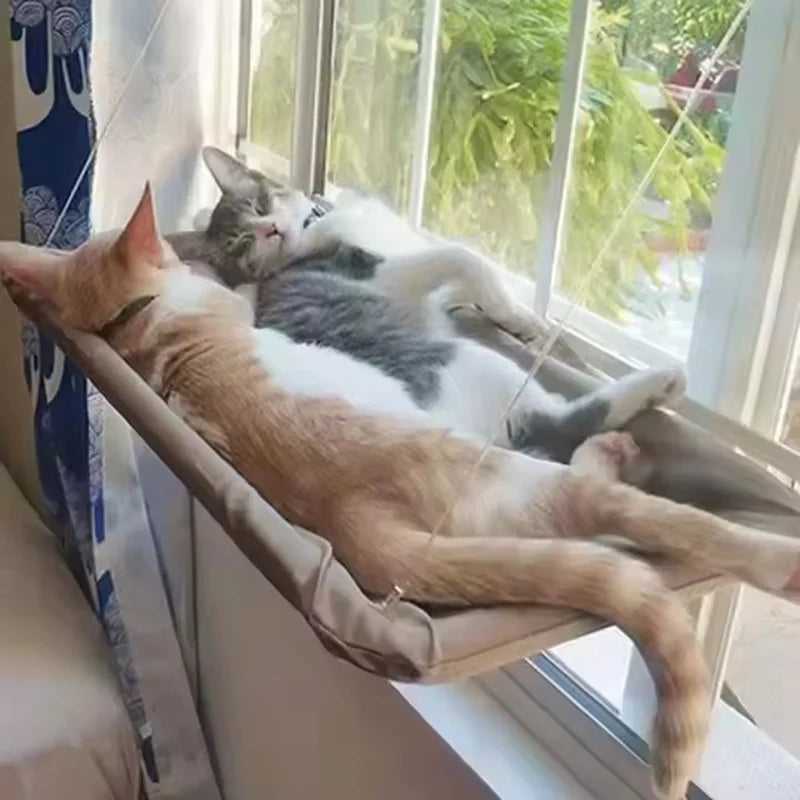 Ultra Soft Cat Window Hammock Bed With Secure Mounting Perch