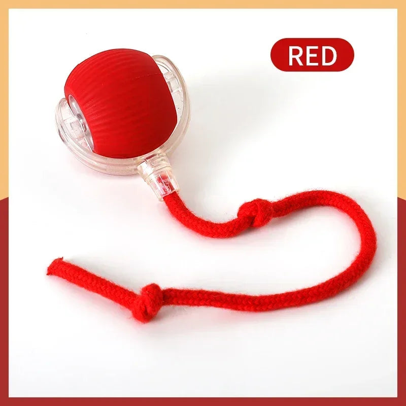 Cat Interactive Automatic Rolling Ball Toy With Rechargeable Battery