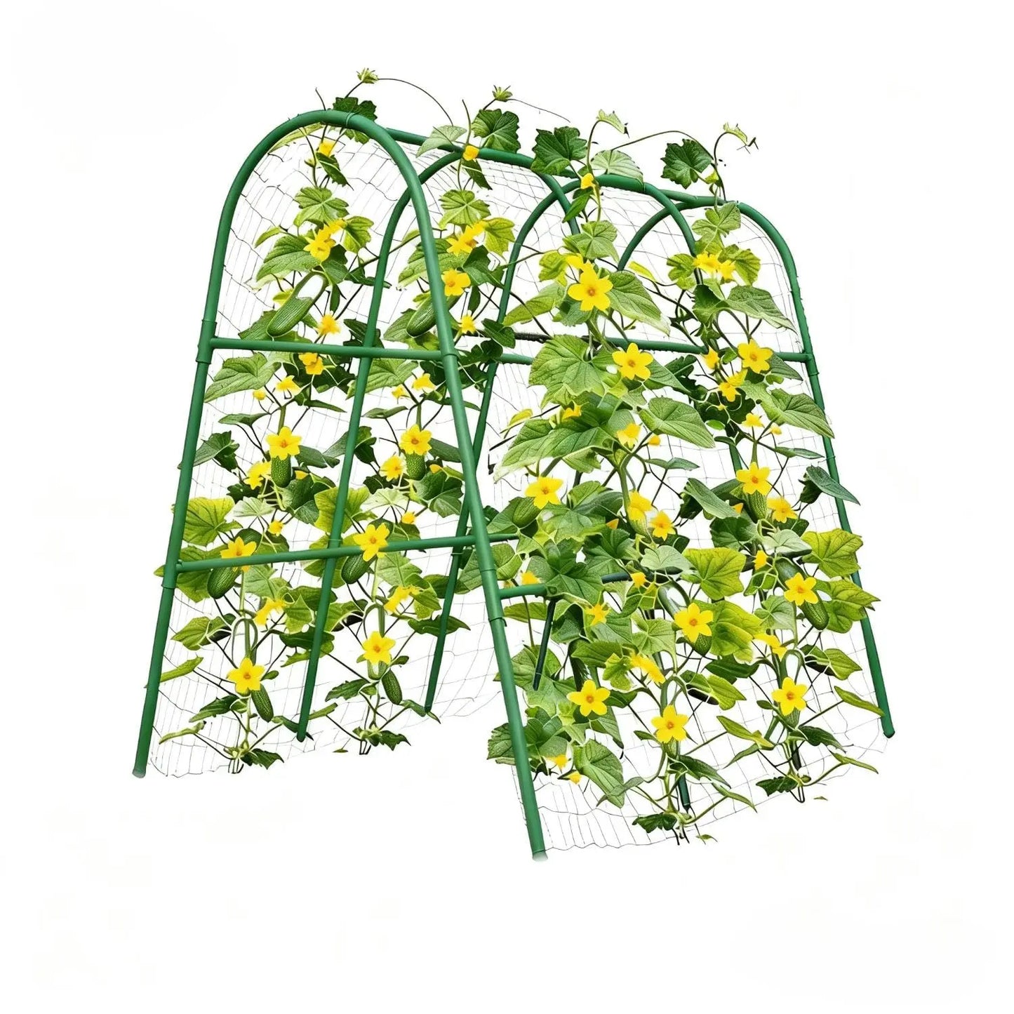 HiMISS Garden Arch Trellis for Raised Beds and Climbing Plants