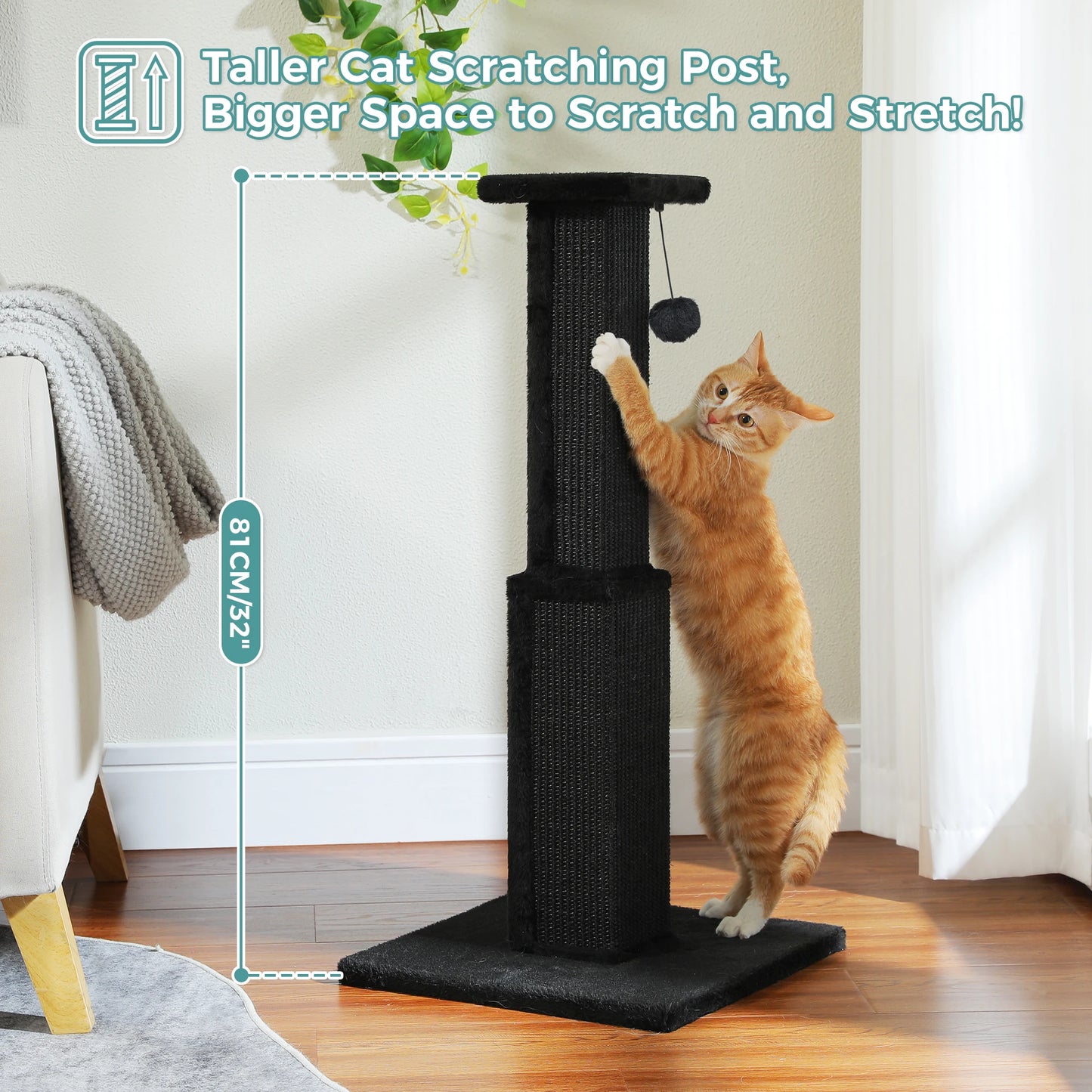PAWZ Road Cat Scratching Post For Indoor Cats With Sisal Ball Toy