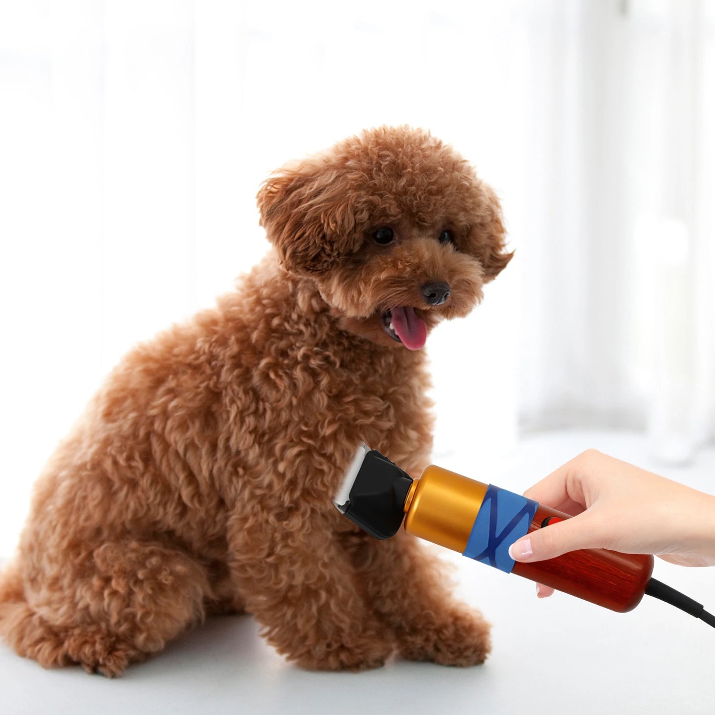 Pet Hair Clipper Low Noise Electric Trimmer For Dogs Cats
