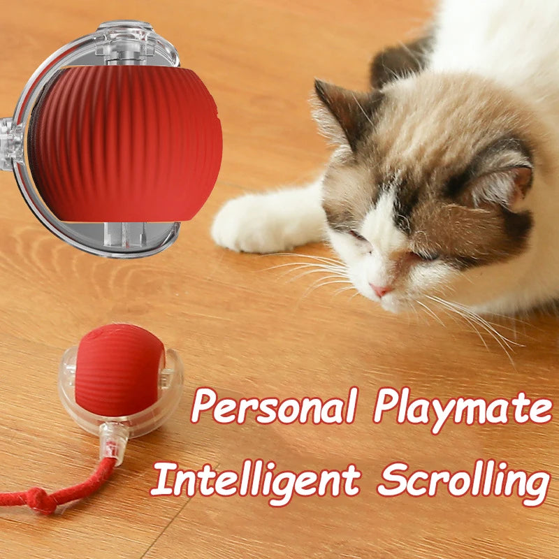 Cat Interactive Automatic Rolling Ball Toy With Rechargeable Battery