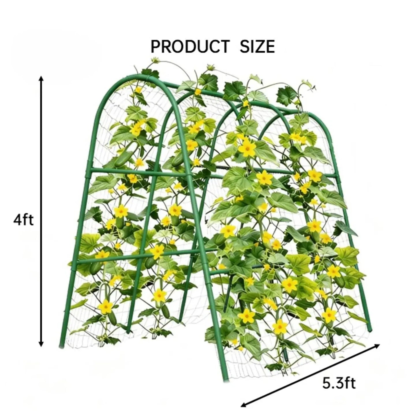 HiMISS Garden Arch Trellis for Raised Beds and Climbing Plants