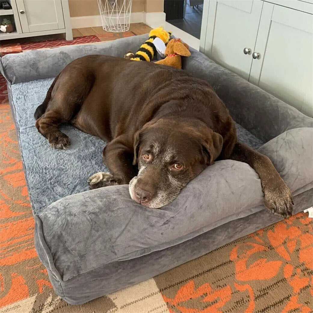 BINGOPAW Orthopedic Dog Bed With Removable Washable Foam Cushion