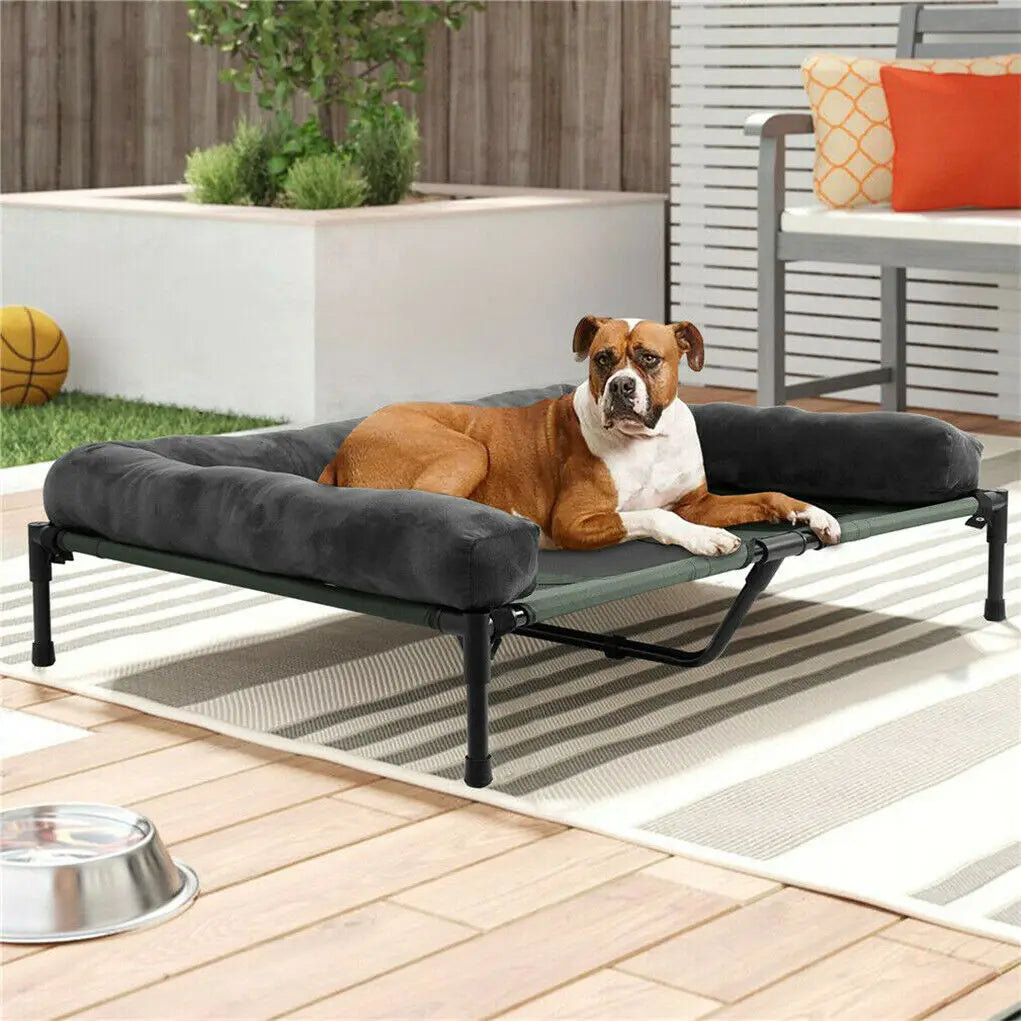 Bingopaw Elevated Indoor Outdoor Pet Lounger Bed With Detachable Bolster