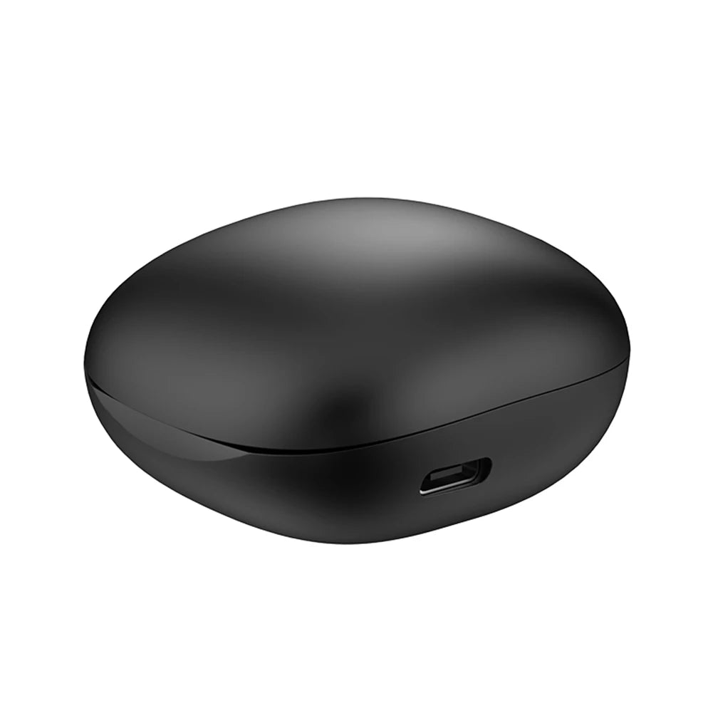 EMbirry 144 Languages Real Time Translator Earbuds Wireless BT
