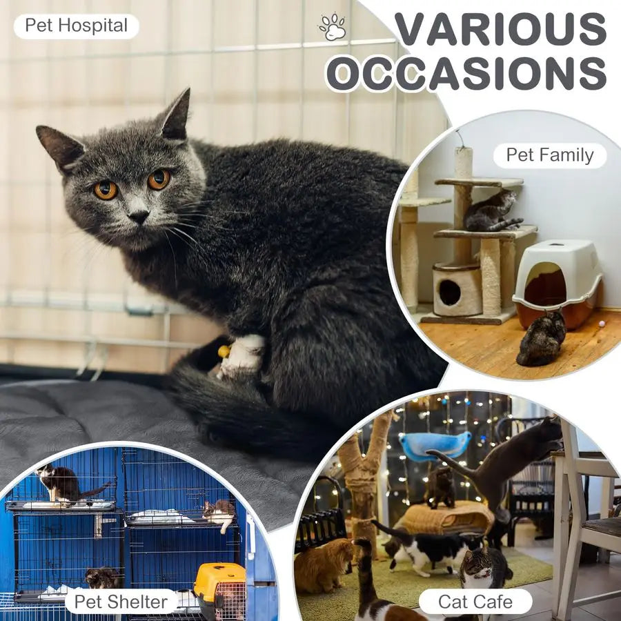 Self Heating Cat Mat Pack Self Warming Pet Bed Kit