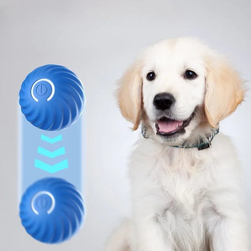 Automatic Moving Dog Ball Toy USB Rechargeable Interactive Ball