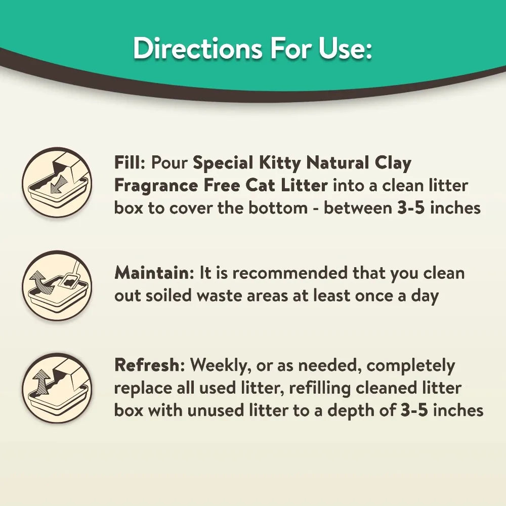 4 Pack Clumping Cat Litter Fresh Scent Odor Control 20lb Jug