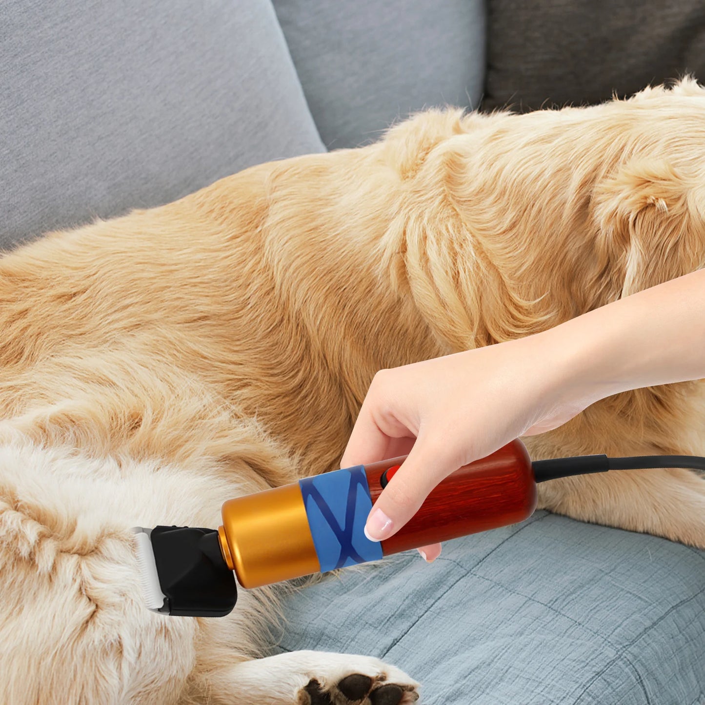 Pet Hair Clipper Low Noise Electric Trimmer For Dogs Cats