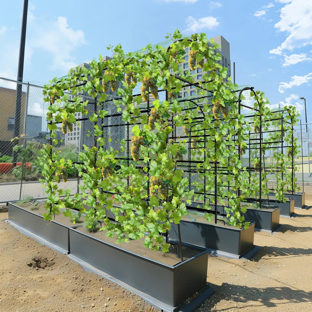 Wisfor U Shaped Metal Garden Trellis For Climbing Plants