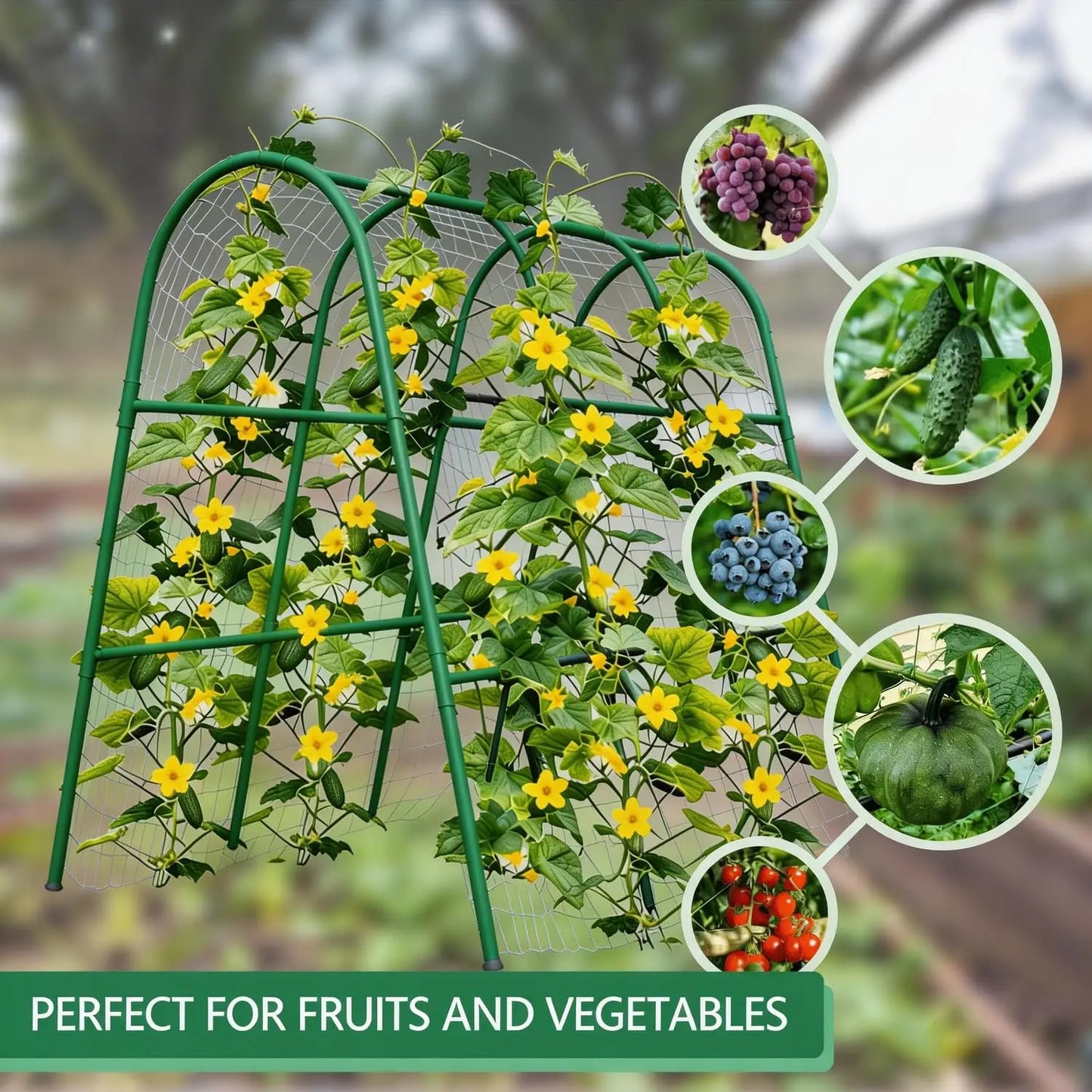 HiMISS Garden Arch Trellis for Raised Beds and Climbing Plants
