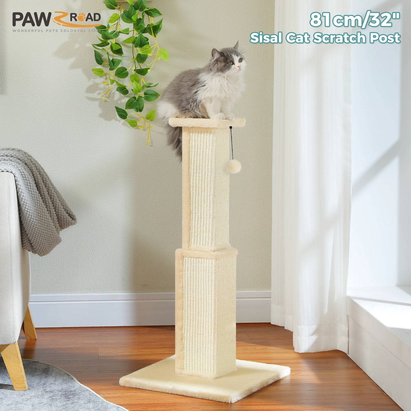 PAWZ Road Cat Scratching Post For Indoor Cats With Sisal Ball Toy