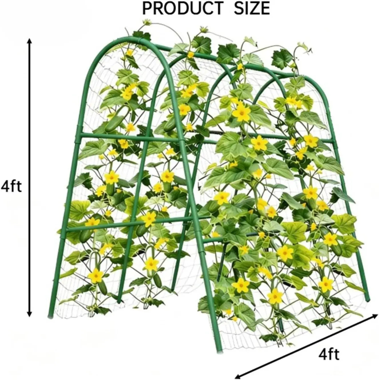 HiMISS Garden Arch Trellis for Raised Beds and Climbing Plants