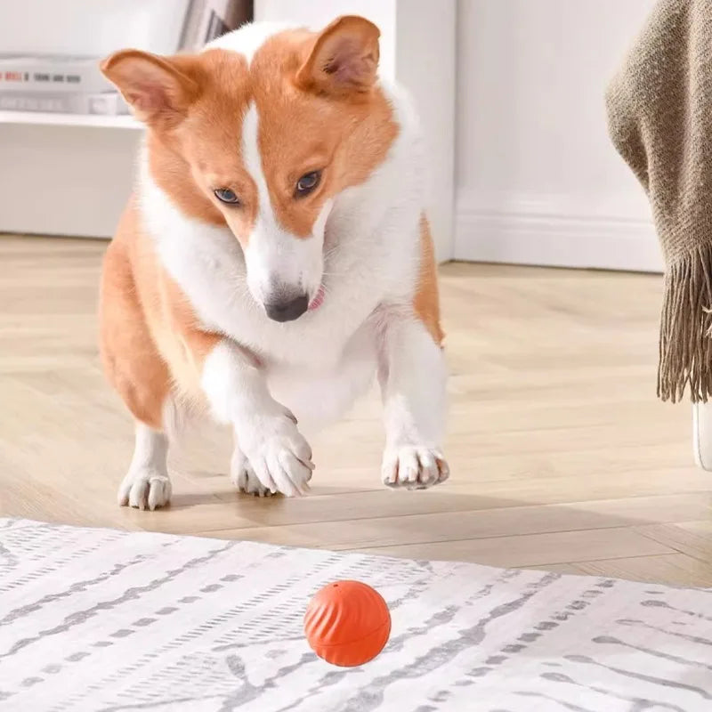 Automatic Moving Dog Ball Toy USB Rechargeable Interactive Ball