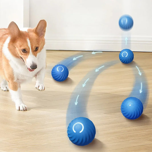 Automatic Moving Dog Ball Toy USB Rechargeable Interactive Ball